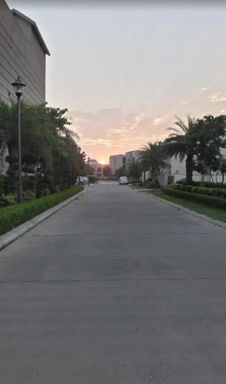 Parking, omaxe-silver-birch 3 Bedroom 1640 Sq.Ft. Builder Floor In North Mullanpur Chandigarh 10334604