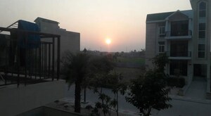 3 BHK Builder Floor – Exterior View View at Omaxe Silver Birch, North Mullanpur - for Sale