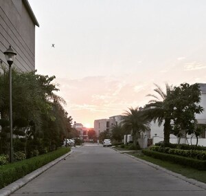 3 BHK Builder Floor – Exterior View View at Omaxe Silver Birch, North Mullanpur - for Sale