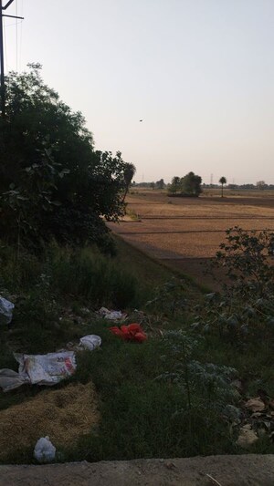 Plot Area in  Land at Raj Nagar Extension – for Sale