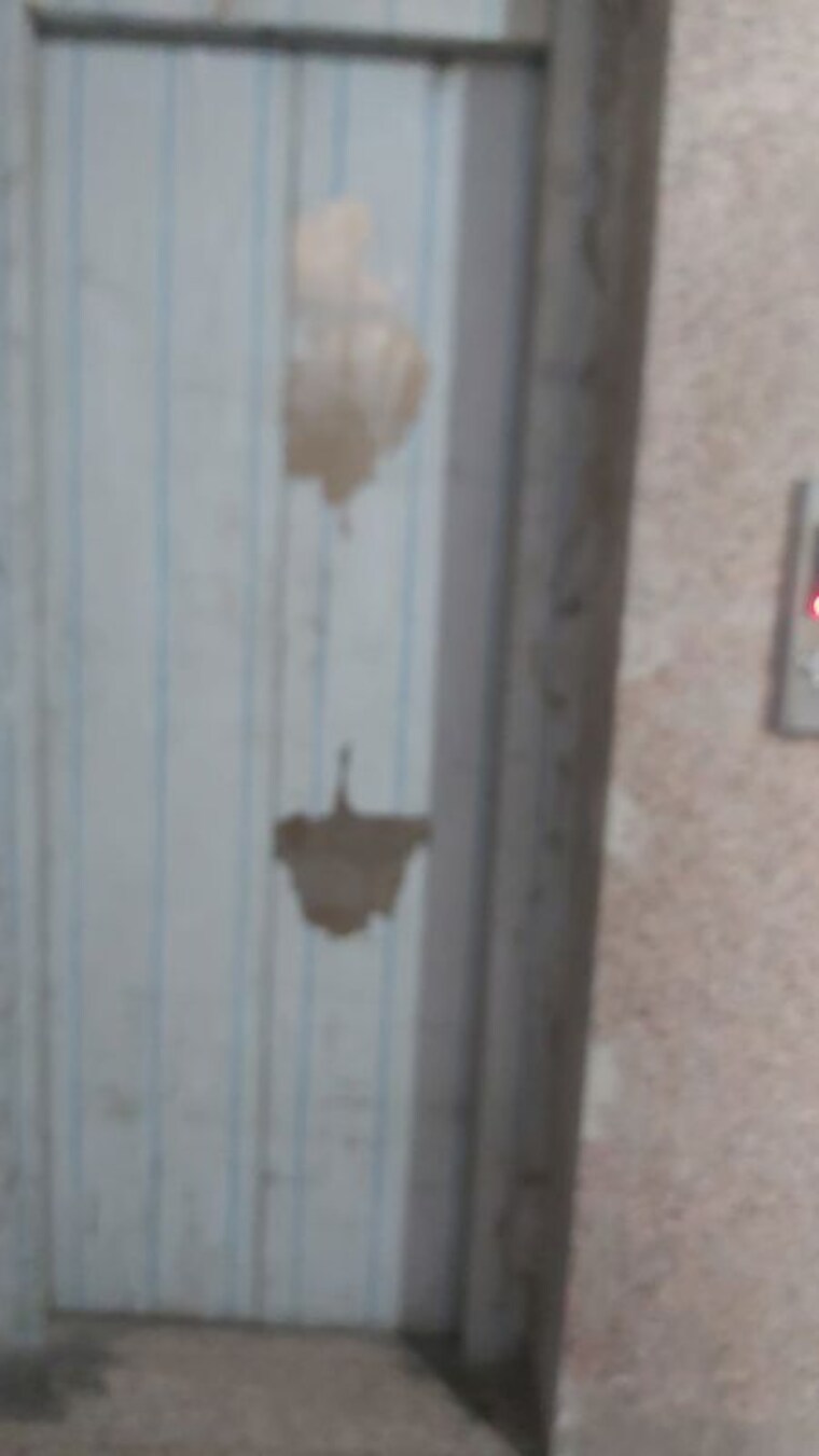 Bathroom, pandav nagar 2.5 Bedroom 700 Sq.Ft. Builder Floor In Pandav Nagar Delhi 10334821