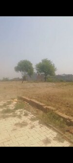 100 Sq.Yd. Plot in Dadri