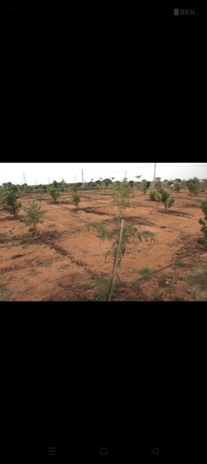  Plot For Sale in Moinabad