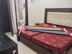 3.5 BHK + Servant Room,Study Room Builder Floor For Sale in Chittaranjan Park