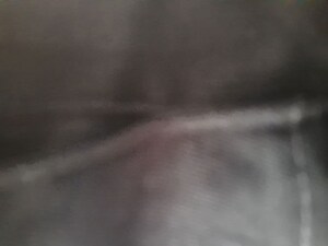 3 BHK Builder Floor For Rent in Phase 10