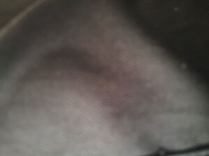 3 BHK Builder Floor For Rent in Sector 77