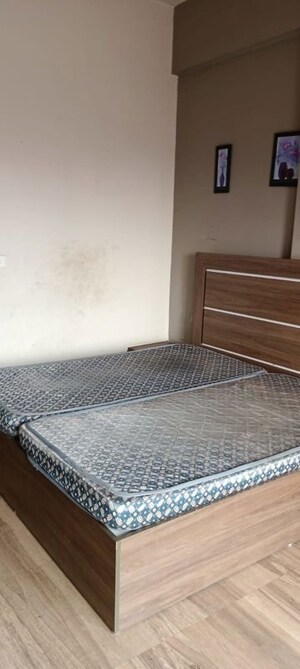 1 RK Apartment For Rent in Paramount Golf Forest Studio Apartments - OAK Towe, Zeta I Greater Noida