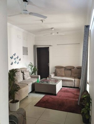 Living Room in 2 BHK Apartment at Exotica Dreamville, Sector 16c Greater Noida – for Rent