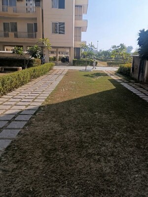 3.5 BHK Apartment – Exterior View View at Ansal Height 86, Sector 86 - for Rent