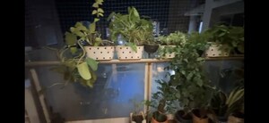 Master Plan in 3 BHK Apartment at Adani Group Western Heights, Andheri West – for Rent