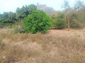  Land For Sale in Karjat