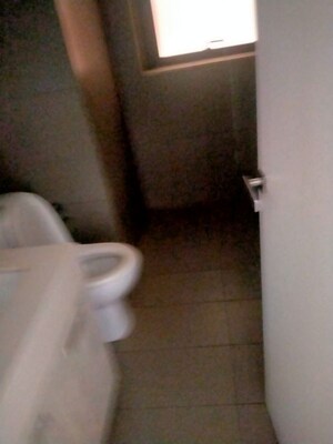 3 BHK Apartment For Sale in DLF Silver Oaks, Sector 26