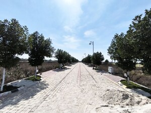 Plot Area in  Plot at 3B Homes Pataudi One, Rampura – for Sale