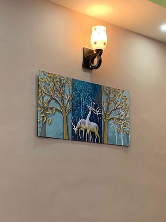 2 BHK 72 Sq.Yd. Independent House in Om Sai Enclave Chipiyana Buzurg
