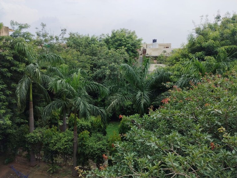 Garden, sarita vihar 3 Bedroom 2000 Sq.Ft. Builder Floor In Sarita Vihar Delhi 10306776