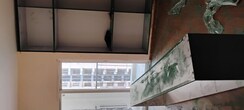 3 BHK Apartment For Rent in Amrapali Ivory Heights