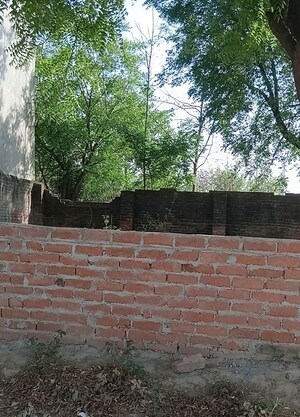 Plot Area in  Plot at Chak Kajehra – for Sale