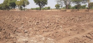 Plot Area in  Land at Nardana – for Sale