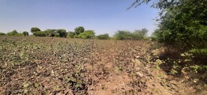 Plot Area in  Land at Nardana – for Sale