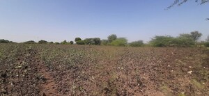 Plot Area in  Land at Nardana – for Sale