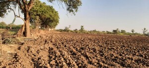 Plot Area in  Land at Nardana – for Sale