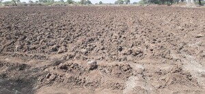 Plot Area in  Land at Nardana – for Sale