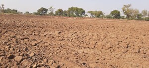 Plot Area in  Land at Nardana – for Sale