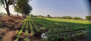 Plot Area in  Land at Nardana – for Sale