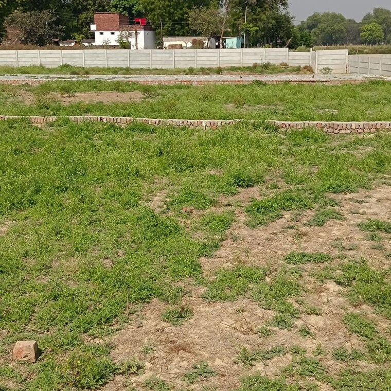 undefined, parao  1375 Sq.Ft. Plot In Parao Varanasi 10337424