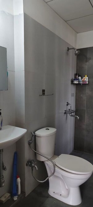 Bathroom in 1 BHK Apartment at Vijay Orovia, Ghodbunder Road – for Rent