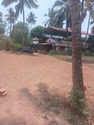  Plot For Sale in Ayyanthole