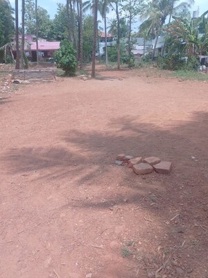   Plot at Ayyanthole – for Sale