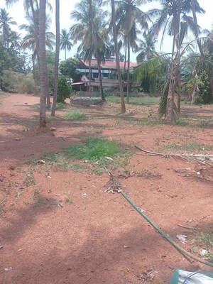 Plot Area in  Plot at Ayyanthole – for Sale