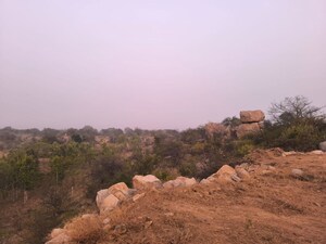  Plot For Sale in Amangal