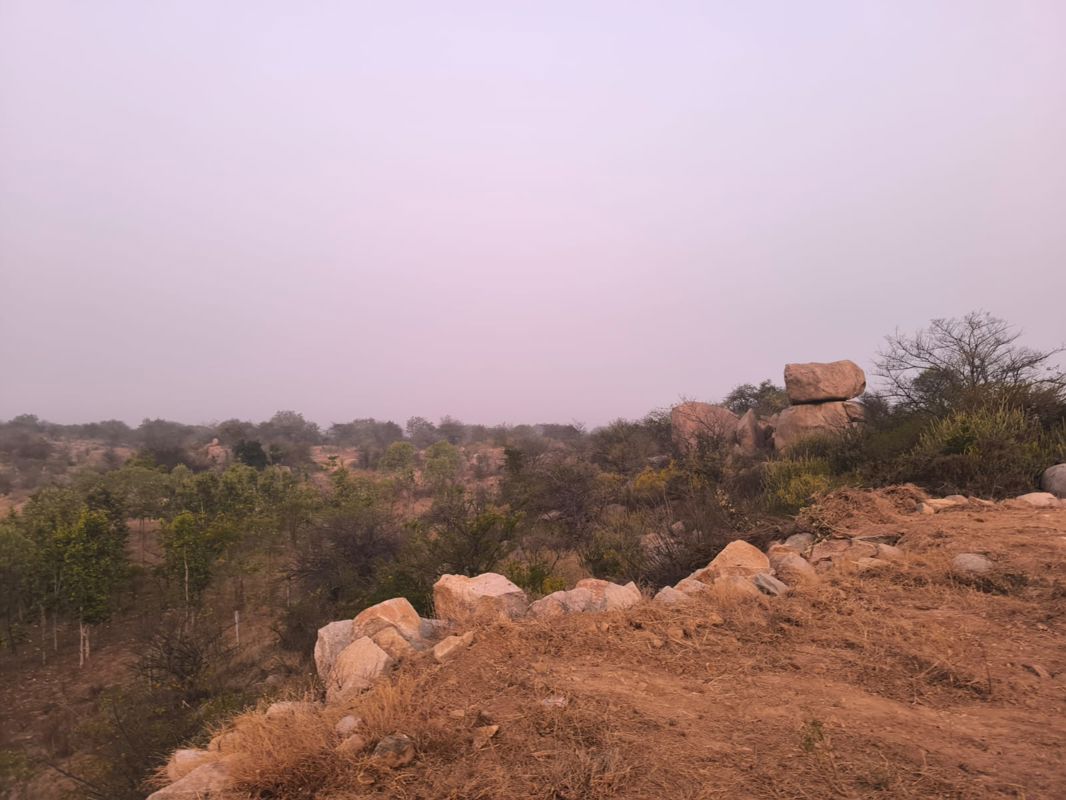 Plot For Sale in Amangal