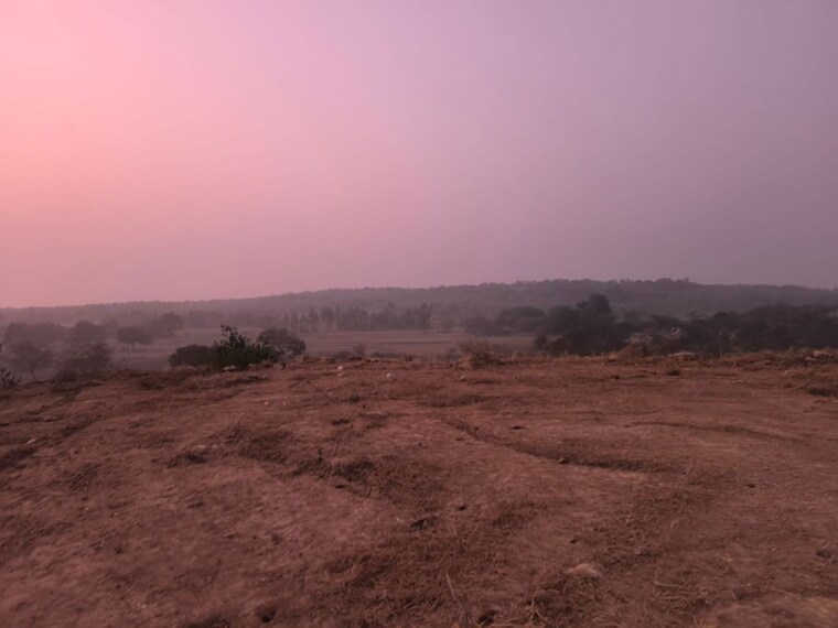undefined, amangal  242 Sq.Yd. Plot In Amangal Hyderabad 10338110