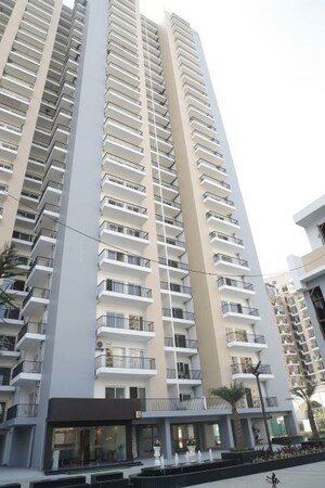 2 BHK Apartment For Rent in Panchsheel Greens II, Sector 16 Greater Noida