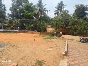  Plot For Sale in Peroorkada