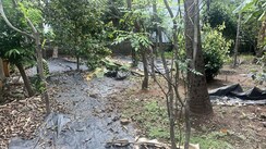 Plot For Sale in Kuttanellur