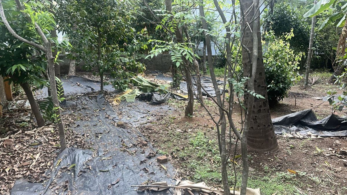 Plot For Sale in Kuttanellur