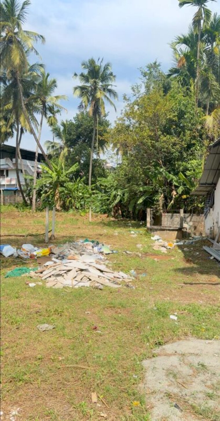 Garden, kanattukara  2614 Sq.Ft. Plot In Kanattukara Thrissur 10338490