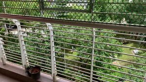 Balcony in 3 BHK Apartment at Blossom Garden, Kadugodi – for Rent