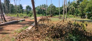  Plot For Sale in Mannuthy