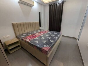 1 BHK Apartment For Rent in Saket