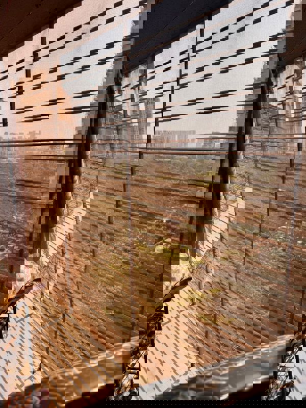 1 BHK +  470 Sq.Ft. Apartment in Kalpataru Hills