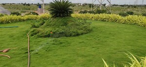  Plot For Sale in Siyora Spring Fields, Bibinagar