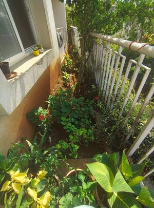 Balcony in 3 BHK Apartment at Salarpuria Sattva Cadenza, Kudlu Gate – for Sale