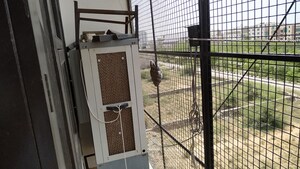 2 BHK Apartment – Exterior View View at Dholai - for Sale