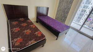 Room in  Pg at Fusion Homes, Tech Zone 4 Greater Noida – for Rent