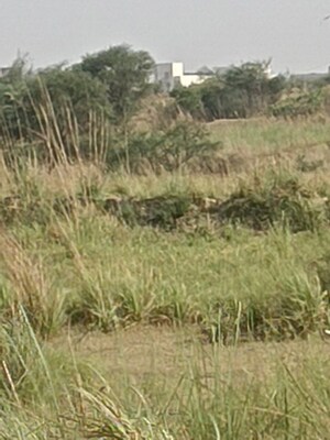  Plot For Sale in Jhalwa